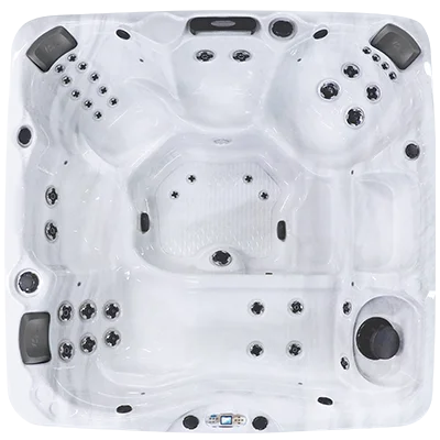 Avalon EC-840L hot tubs for sale in Chapel Hill