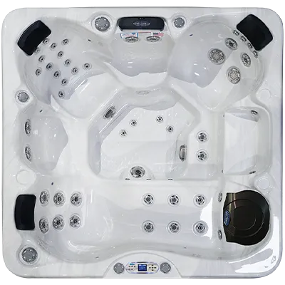 Avalon EC-849L hot tubs for sale in Chapel Hill